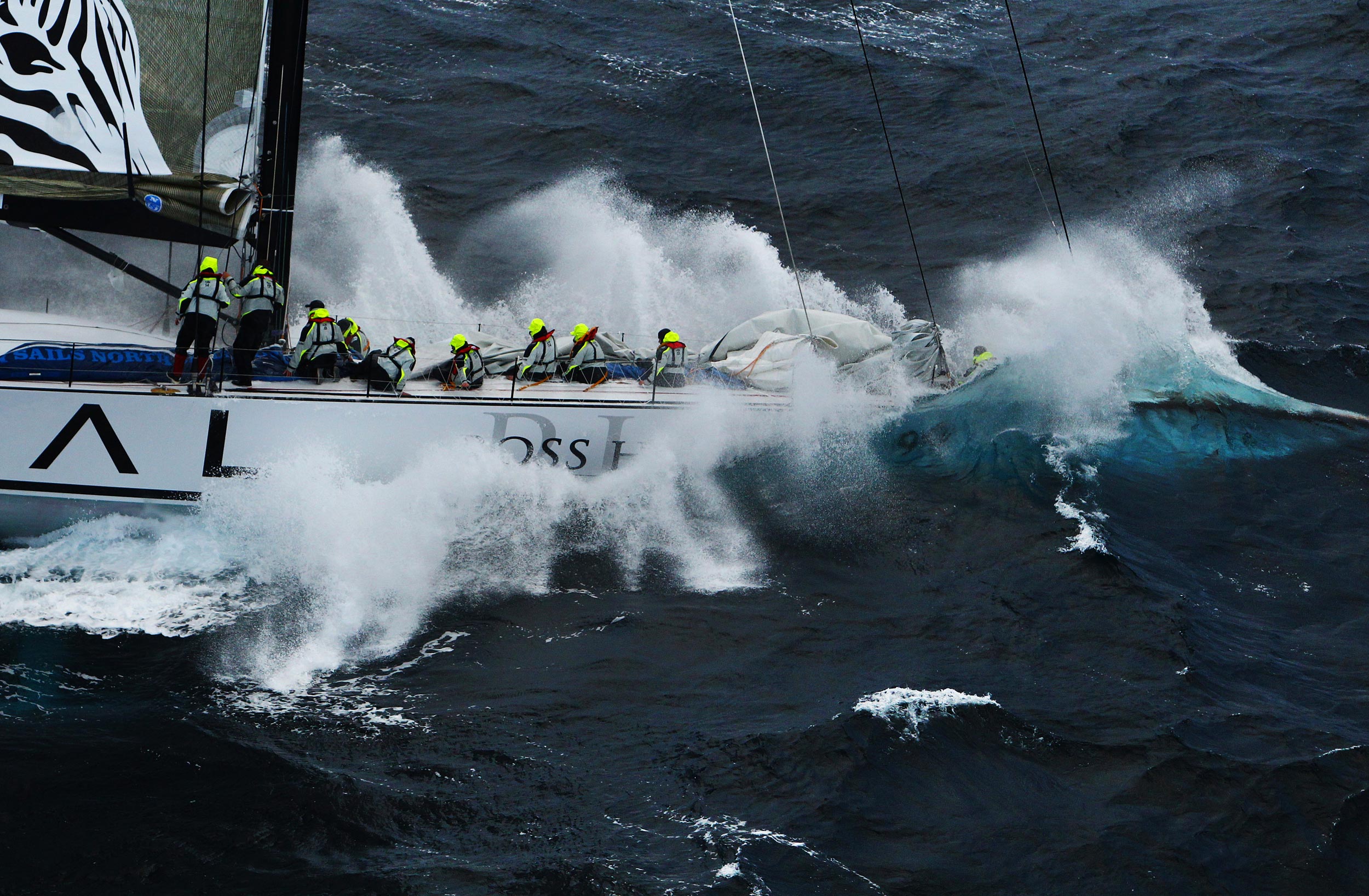 Splash_web-sailing